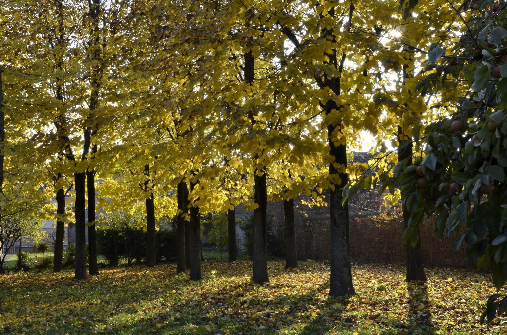 9 Muse Bed And Breakfast Canneto sull'Oglio Exteriér fotografie